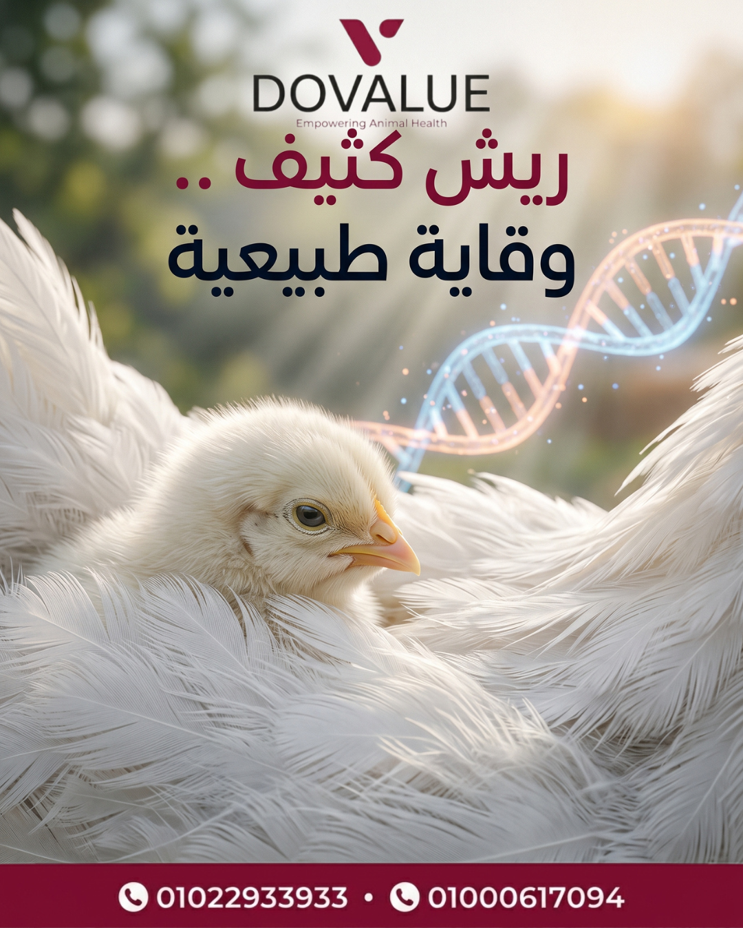 الشريحة 1